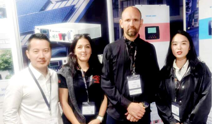 南非光伏储能站&GOWIN